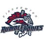 Binghamton Rumble Ponies